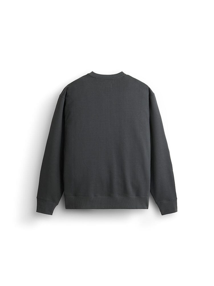 ESSENTIAL FRENCH TERRY CREWNECK GEN II TOP Alpha Industries 