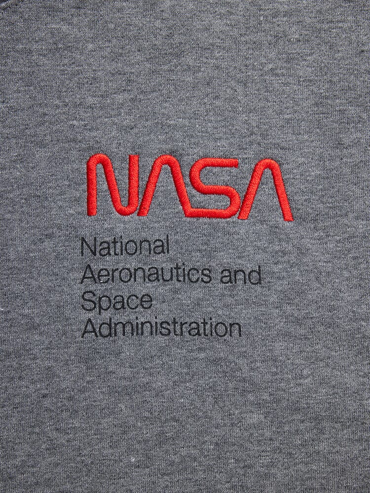 NASA WORM LOGO HOODIE TOP Alpha Industries 