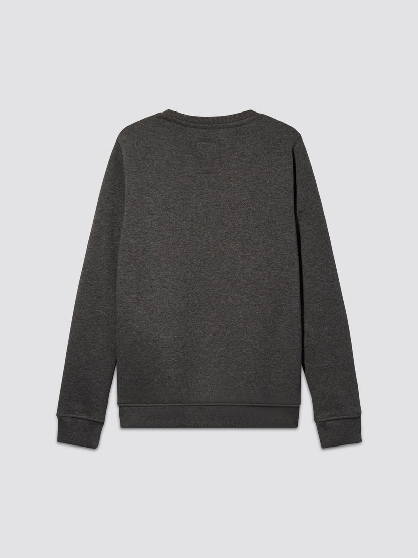 The Youth Basic Sweater by Alpha Industries, showcasing the Alpha logo, is displayed from the back against a plain white background.