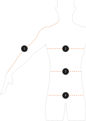 Body size diagram with numbered circles at arm #1 (sleeve), chest #2, waist #3, and hip #4.